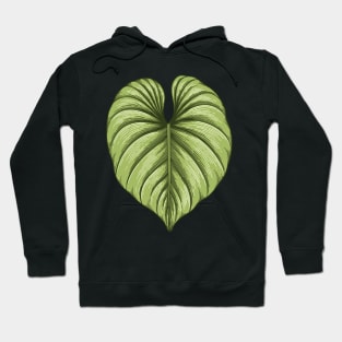 Philodendron plowmanii big leaf Hoodie